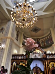 зображення_viber_2025-05-12_13-10-39-286